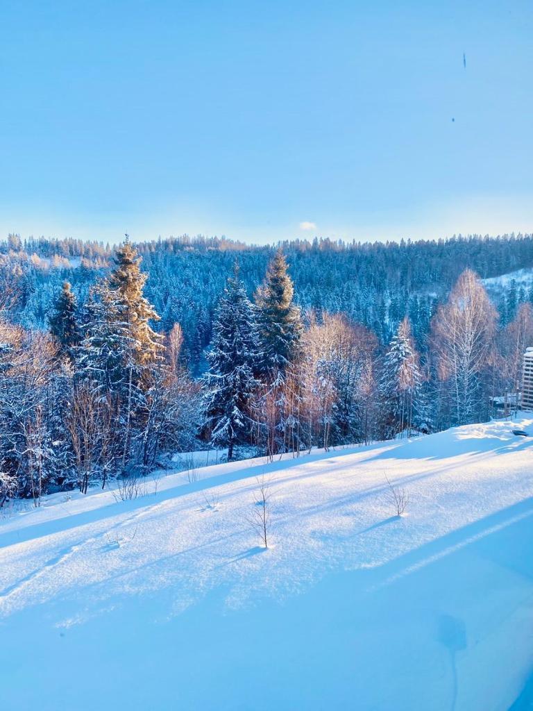 Mount Hotel Slavske Eksteriør billede